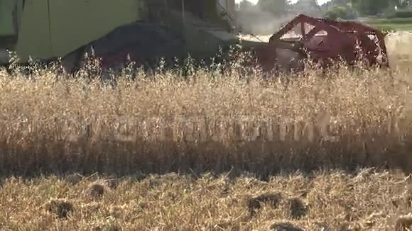 带有卷筒和刀杆的脱粒机是在农田上切割燕麦全景4K视频的预览图