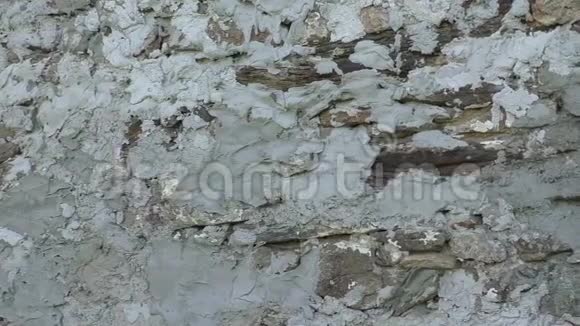 石材墙面用水泥视频的预览图