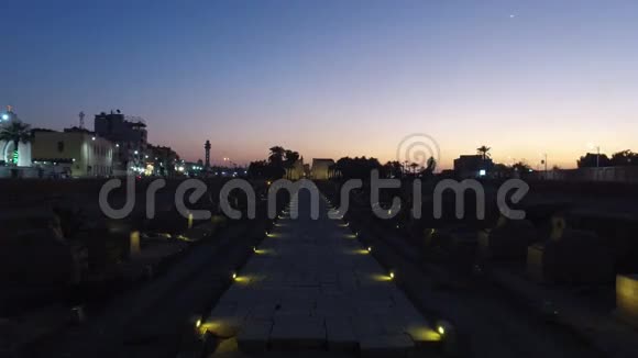 卢克索神庙狮身人面像大道的夜景视频的预览图