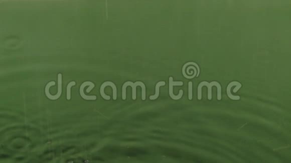 特写落雨滴在绿水中视频的预览图