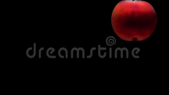 熟桃在黑色背景下落入透明水视频的预览图