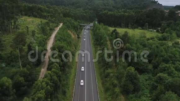 从乡村道路上方透过绿色森林俯瞰空中景色视频的预览图