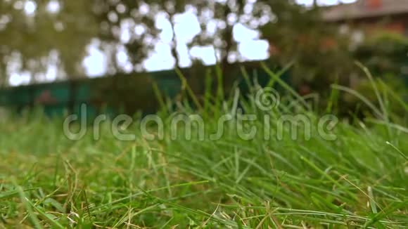 绿草和带割草机的人低角度慢镜头视频的预览图