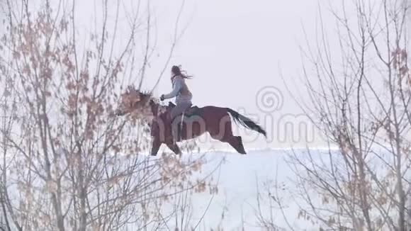 美丽的长发女子骑着一匹棕色的马穿过森林深处的雪堤视频的预览图