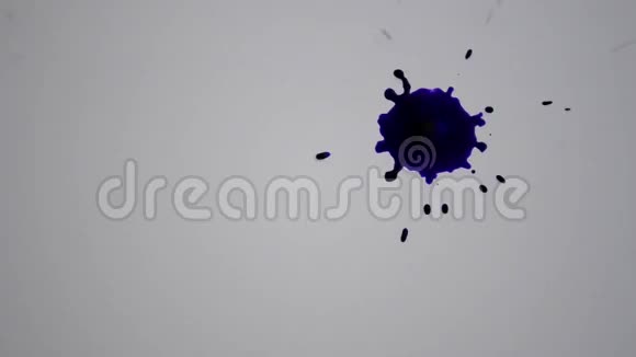 紫色墨水滴在白色的表面视频的预览图