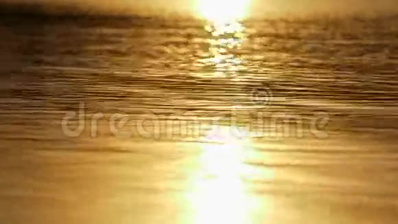 阳光照耀着水面视频的预览图