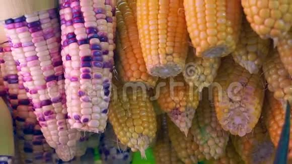 紫色和黄色玉米的视频视频的预览图