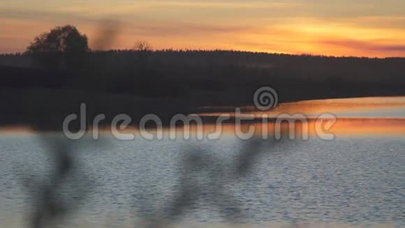 湖滨夏季橘色日落关注植物为视频的预览图