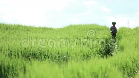 男孩在田野的高草丛中奔跑视频的预览图