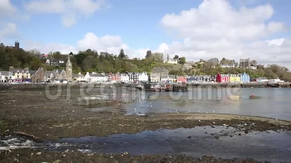 托伯莫里苏格兰穆尔岛英国苏格兰内赫布里底群岛小镇美丽的春日潘视频的预览图