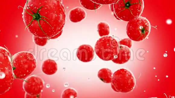 新鲜的西红柿随着水滴落下食物概念与阿尔法哑光隔离视频的预览图