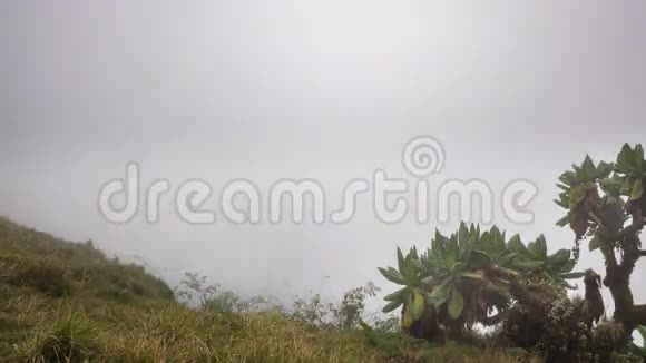 比索克火山在卢旺达的时间流逝视频的预览图