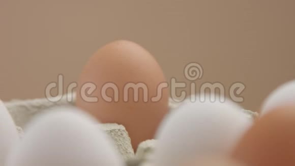 来自不同家禽的不同颜色的鸡蛋视频的预览图