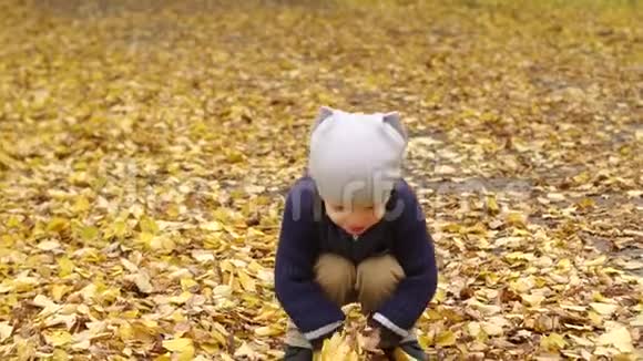 快乐的孩子在秋天公园户外玩耍视频的预览图