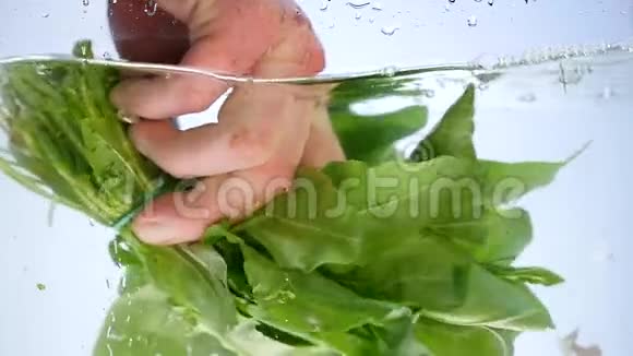 绿色菠菜叶有水滴溅在白色上视频的预览图