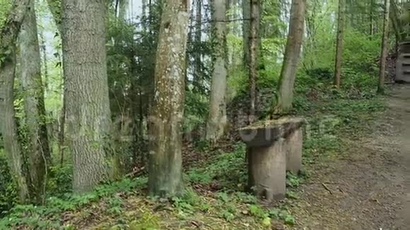 瑞士的绿色森林瑞士森林里的一个小木凳摄像机沿着商店和后面的地方移动视频的预览图