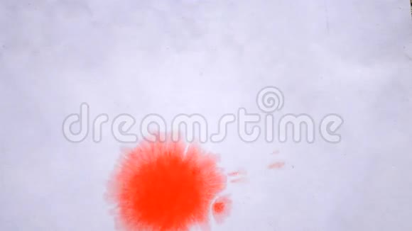 红色橙色滴在白纸上展开视频的预览图
