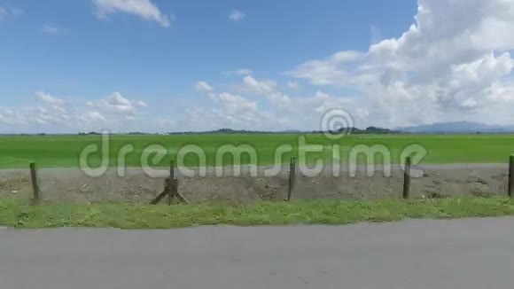 马来西亚基达州稻田2015年11月视频的预览图