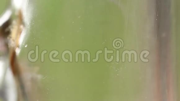瓶子里的橄榄油金色气泡宏镜头视频的预览图