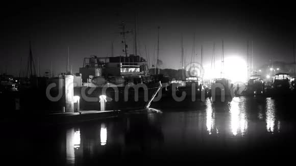 夜晚的黑白港视频的预览图