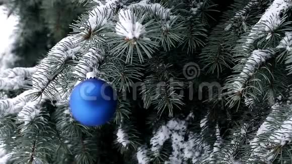 蓝色圣诞球挂在云杉和雪枝上视频的预览图