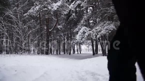 在冬季森林里慢跑慢动作视频的预览图