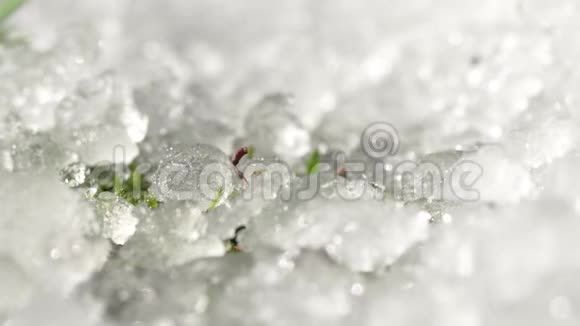 时光流逝融化的雪可见绿色的幼草在春月的阳光下在公园里春天融化的冰视频的预览图
