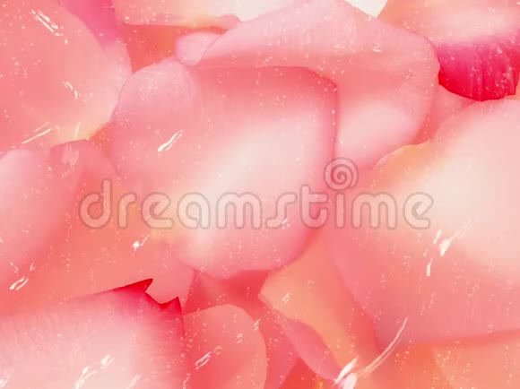 玫瑰花瓣粉色浪漫多雨视频的预览图