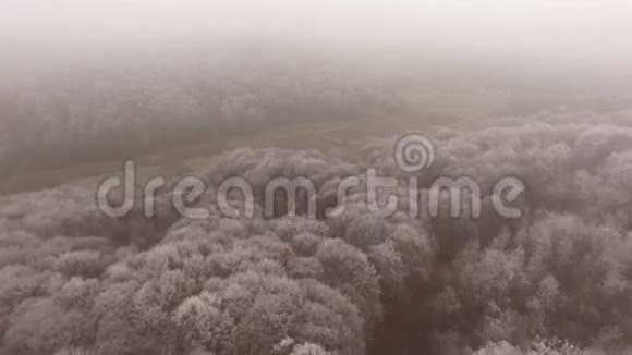 冰冻森林的空中景观视频的预览图