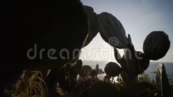 埃斯孔迪多港海岸视频的预览图
