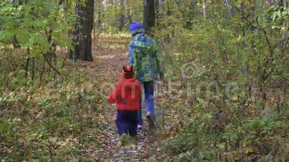 一个在公园散步的孩子在秋天的树叶上视频的预览图
