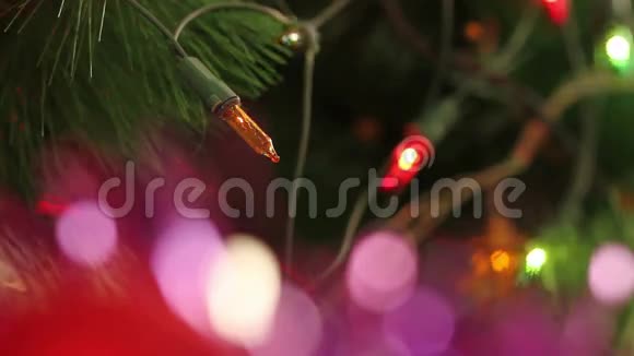 闪闪发光的花环装饰着圣诞树视频的预览图