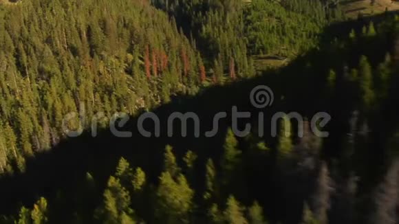 森林山坡和田野的空中射击视频的预览图