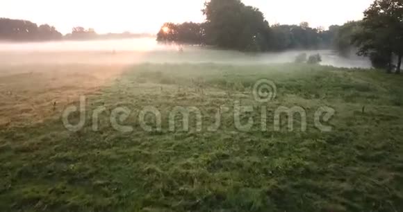 黎明时空中可以看到覆盖着雾的草地和河流乌克兰视频的预览图