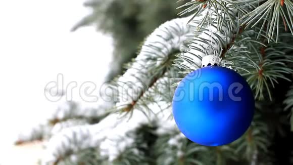 蓝色圣诞球挂在云杉枝上视频的预览图