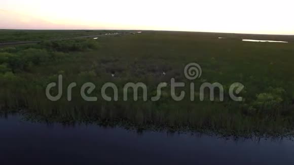 黄昏时湿地的空中活动视频的预览图