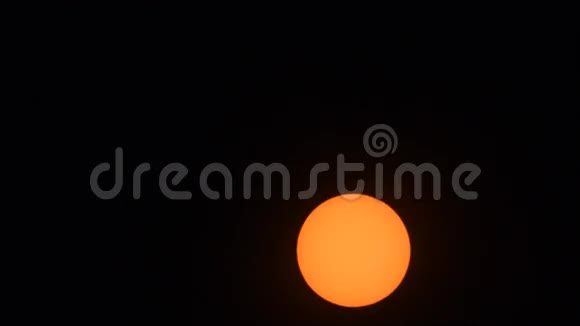 夕阳带鸟动人橙色过滤了视频的预览图