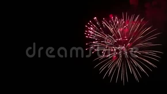 令人惊叹的烟火表演鲜艳的花朵在夜空中飞溅着敬礼胜利日视频的预览图