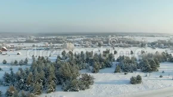 鸟瞰冬林雪树枝中看冬林冬季景观森林树木覆盖视频的预览图