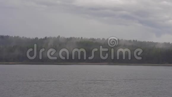 雾湖和森林卡雷利亚俄罗斯北方自然视频的预览图
