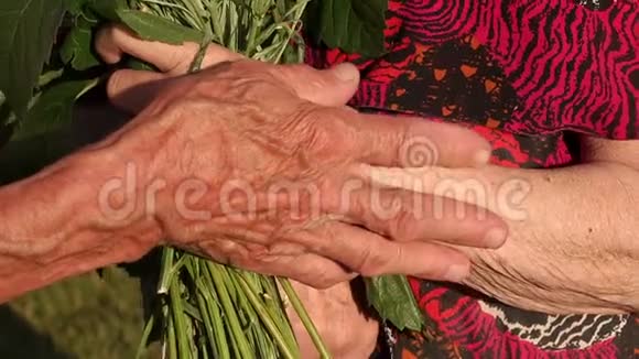 老人双手布满皱纹手里拿着鲜花视频的预览图