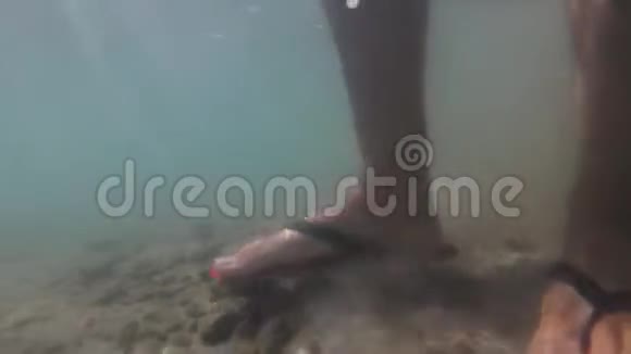在沙滩上行走的水下脚射视频的预览图