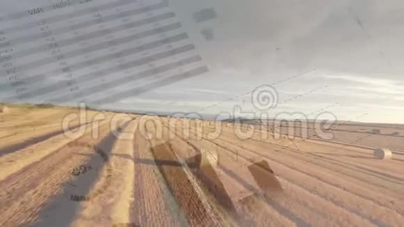 农业领域和统计视频的预览图