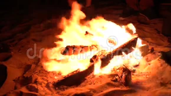 夜滩的篝火4KUHD视频的预览图