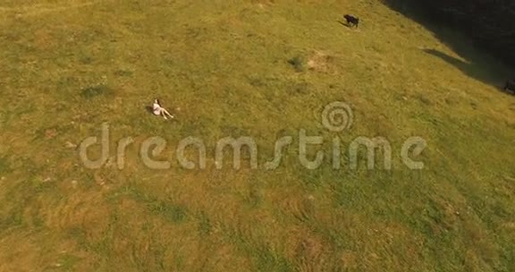 农村女孩和一头牛在山上的草地上视频的预览图