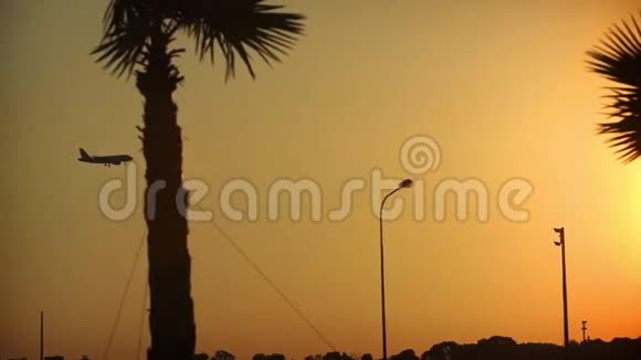 日落时分飞机降落夕阳穿过棕榈树视频的预览图