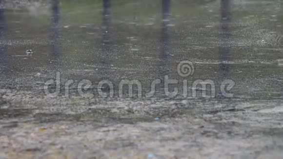 雨滴穿过水坑视频的预览图
