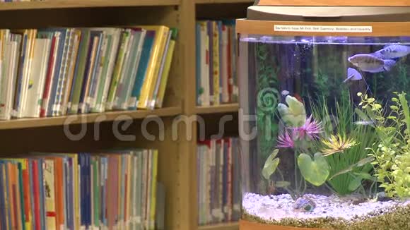 图书馆书架上儿童书籍附近的鱼缸二选一视频的预览图