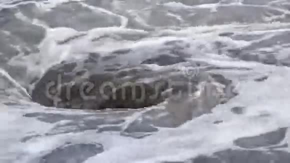 水中自然漩涡的景色视频的预览图