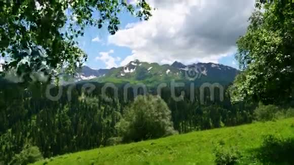 风中树叶背景下的高山雪山和绿色夏林视频的预览图